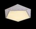 LED Lamp LED Lighting Pendant Lightings And Handelier White Or Black Pentagon supplier