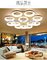 Natural Desgn Indoor Eurpean Style Chandelier For Liver Room And CorrIdor supplier