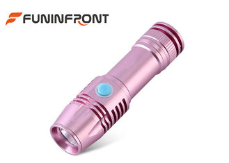 China USB Rechargeable 365NM Blacklight LED Flashlight MINI Size for Jade Detector supplier