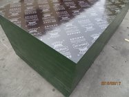 KINGPLUS film faced plywood for construction,building material.imported dynea film.china factory supplier