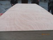 INDOPLY ' BRAND COMMERCIAL PLYWOOD / FURNITURE GRADE PLYWOOD