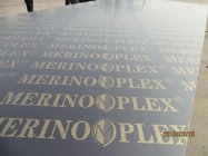 'MERINOPLEX' BRAND FILM FACED PLYWOOD, 'MR' GLUE, POPLAR CORE, BROWN PRINTED FILM