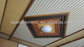 Sunshien WPC manufacture PVC indoor Wall Panel suitable wall house park ceiling
