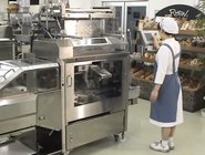 pillow automatic packing machine for food