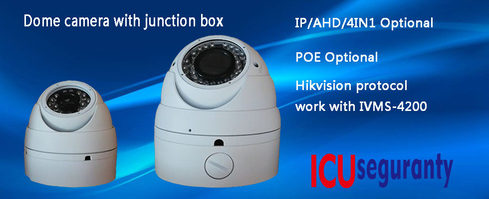 China best Face Recognition and Count People IP Camera on sales