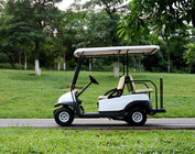 2+2 seater gas golf cart