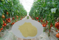 Amino Acid Powder 30% Compound Fertilizer  Hot Selling Product Cheap Price