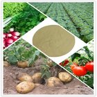 Amino Acid Chelate Potassium Organic Fertilizer Light Yellow Powder 40% AA Potash Foliar Fertilizer