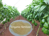 Amino Acid Chelate Potash Organic Fertilizer Light Yellow Powder 25% AA  25% k2O