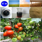 Foliar Application Amino Acid Chelated Trace Element ( Fe+Zn+Mn+Cu+B+Mg) Liquid Fertilizer