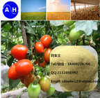 Amino Acid Chelated Nutrient Magnesium Mg Fertiliser Agriculture Grade