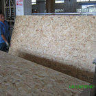 Professional 1220X2440X6-25mm  OSB 3 Manufacturer From China