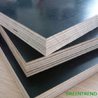 Poplar/Birch/Hardwood Core Marine Plywood/Shuttering Plywood/Film Faced Plywood for Construction