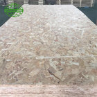 Chinese 9mm 12mm 15mm 18mm OSB 3 for Chile Market