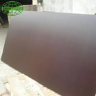 Brown Film Faced Plywood with Best Quality from Greentrend