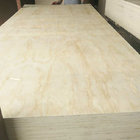 Pine veneer commercial plywood in marine grade plywood