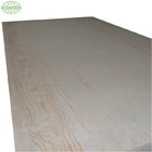 Pine veneer commercial plywood stained wood