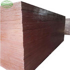Construction use 18mm marine grade plywood black film faced plywood