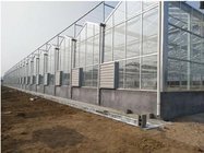 Glass Greenhouse for griculture Vegetables hydroponic systems equipment Multi-Span Glass