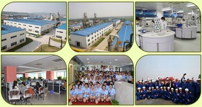 Zhonglan Industry Co.,Ltd