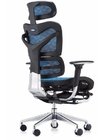 New Design Executive China Ergonomic Mesh Chair with Footrest