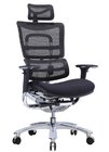 New Design Ergonomic Mesh Chair with Footrest