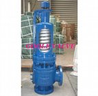 High temperature and high pressure safety valve