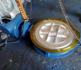 3D Eccentric Structure Eccentric Butterfly Valve with high performance