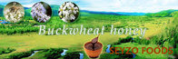 buckwheat flowder bee honey from SEYZO Brand honey Serries Foods wholesaler