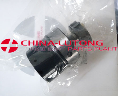 China cav head and rotor 7139-91Y supplier