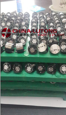 China original Delphi common rail injector control valve supplier