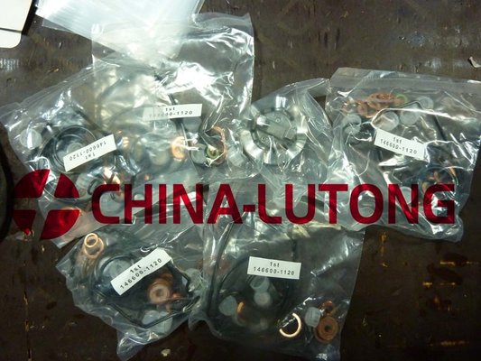 China repair kit 146600-1120 supplier