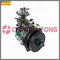 Diesel Fuel Injection Pump 11F1900L005-VE pump supplier