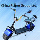 800W Electric Touring Motorcycle with F/R Shocks, 2 Seats, Flashing Lights