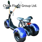 Harley Citycoco Electric Tricycle with 1000W Shaft Motor, 60V/30V lithium battery