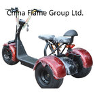 1000W 3wheels Electric Scooter with Ce 1000W 60V/20ah   lithium battery ,F/R suspension