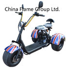 3 Wheel Motor Scooter with 1000W 60V/20ah   lithium battery ,F/R suspension