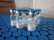 White Lyophilized HCGHuman Growth Hormone Products For Fat Loss