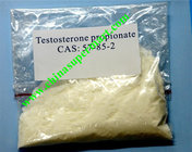 Athletes CAS 57-85-2 Healthy Oral Anabolic Steriods Testosterone Propionate