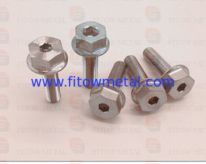 China Custom special shaped titanium parts supplier