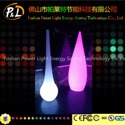 Decoration rechargeable LED standing floor lamp