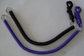 Plastic Spiral Cansion Key Coil Chain Black Purple Long Tether Leash supplier