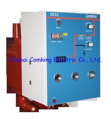 China Solid Insulated Switch supplier
