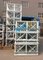 Selected Color Painted Double Cage Building Site Hoist Equipment 1600kg supplier