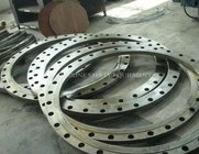 ANSI Stainless Steel/Carbon Steel Alloy Steel Forged Blind Flange for Pipe Fitting