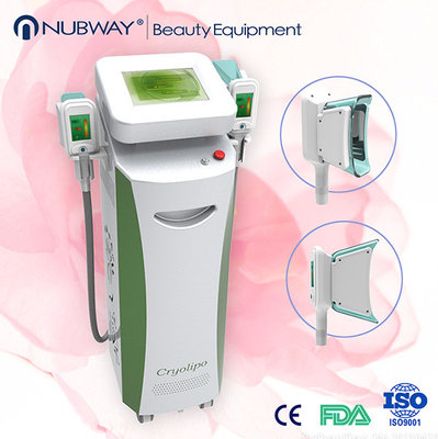China 5 handles multifunction  Cryolipolysis Slimming Machine   for body shaping skin rejuve.. supplier