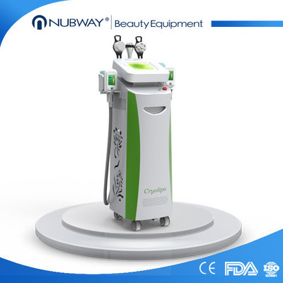 China new model 4 handles cryolipolysis salon use multifunction cavitation rf cryolipolysis machine supplier