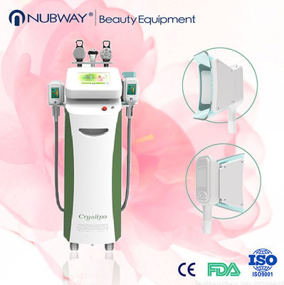 China 2015 Cryotherapy Body Contouring Fat Freezing Liposuction Criolipolisis Machine supplier