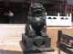 One pair of lions statues indoor decoration bronze lion sculpture supplier