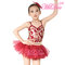 Fancy Kids Dance Costumes Floral Sequin Dress Matching Tulle Tutu Skirt supplier